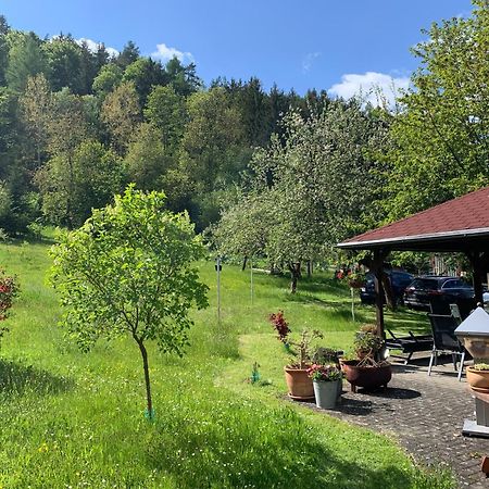 Haus Sonnenwalde - Familie Ruhe Hotel Rohrbach  Екстериор снимка