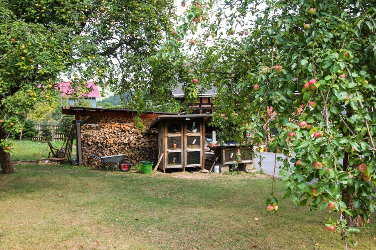 Haus Sonnenwalde - Familie Ruhe Hotel Rohrbach  Екстериор снимка